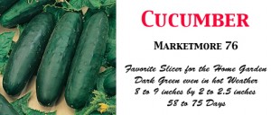 Cuke Marketmore