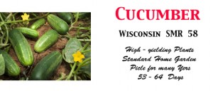 Cuke Wisconsin SMR 58