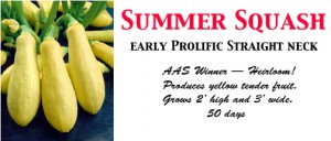 summersquash
