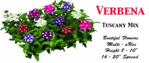 verbena label