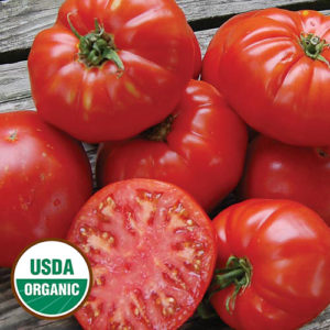 0011-kanner-hoell-tomato-organic