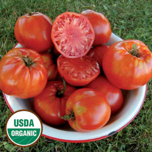 0826-italian-heirloom-tomato-organic