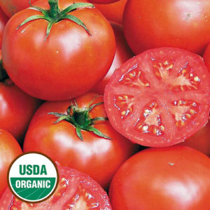 1435-john-baer-tomato-organic